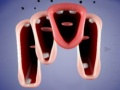 Peli Crazy Lips
