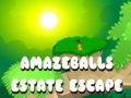 Peli Amazeballs Estate Escape