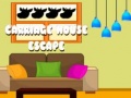 Peli Carriage House Escape