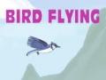 Peli Bird Flying