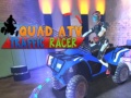 Peli Quad ATV Traffic Racer