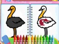 Peli Coloring Birds Game