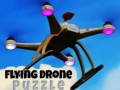 Peli Flying Drone Puzzle