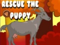 Peli Rescue The Puppy