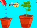 Peli Draw Missing Part
