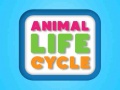 Peli Animal Life Cycle