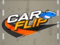 Peli Car Flip