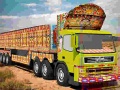 Peli Truck Driver Cargo