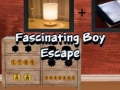 Peli Fascinating Boy Escape