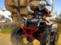 Peli ATV Quad Bike Off-road