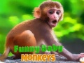 Peli Funny Baby Monkey