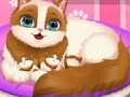 Peli Cute Kitty Pregnant