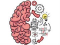 Peli Brain Test