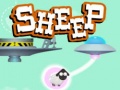 Peli Sheep