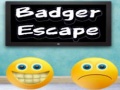 Peli Badger Escape