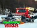 Peli Snow Groomer Vehicles