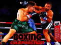 Peli Boxing Champions Fight
