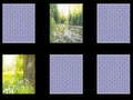 Peli Nature Memory