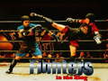 Peli Fighters in the Ring