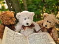 Peli Cuddly Three Teddy Jigsaw