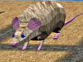 Peli Mouse Race Islands