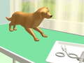Peli Paw Care