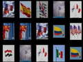 Peli Memorize the flags