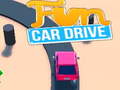 Peli Fun Car Drive 3d