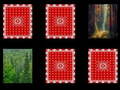 Peli Forest memory