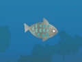 Peli Fish Companions