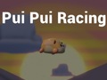 Peli Pui Pui Racing