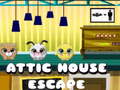 Peli Attic House Escape