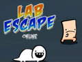 Peli Lab Escape Online