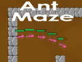 Peli Ant maze