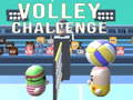 Peli Volley Challenge