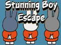 Peli Stunning Boy Escape