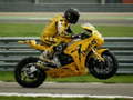 Peli Racing Bike Jigsaw
