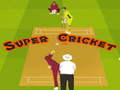 Peli Super Cricket 