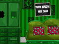 Peli Traffic Inspector House Escape