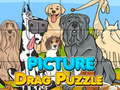 Peli Picture Drag Puzzle