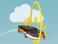 Peli Flying bird