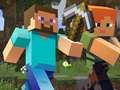 Peli Minecraft Hidden Items