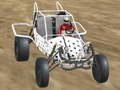 Peli Crazy Buggy Demolition Derby