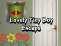 Peli Lovely Tiny Boy Escape