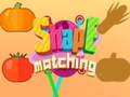 Peli Shape matching