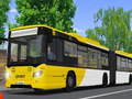 Peli Public Transport Simulator 2021