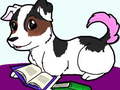 Peli Pets Slide