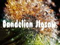 Peli Dandelion Jigsaw