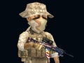 Peli Rush Team