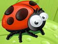 Peli Ladybug Slide